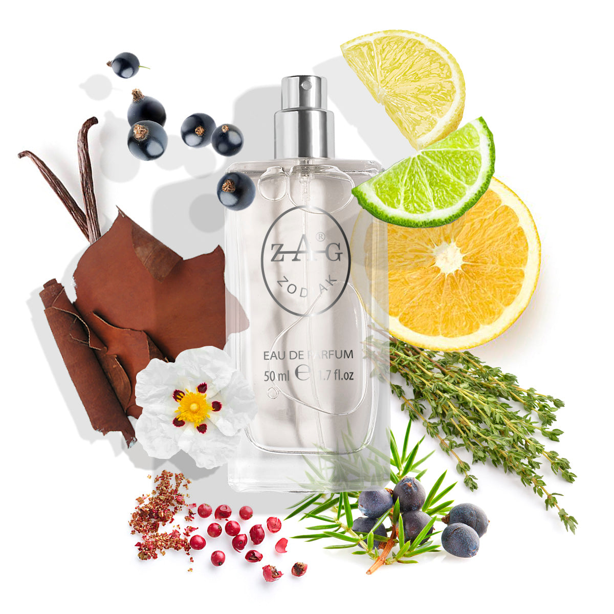 424 Heren - Geïnspireerd door (Roja) Elysium