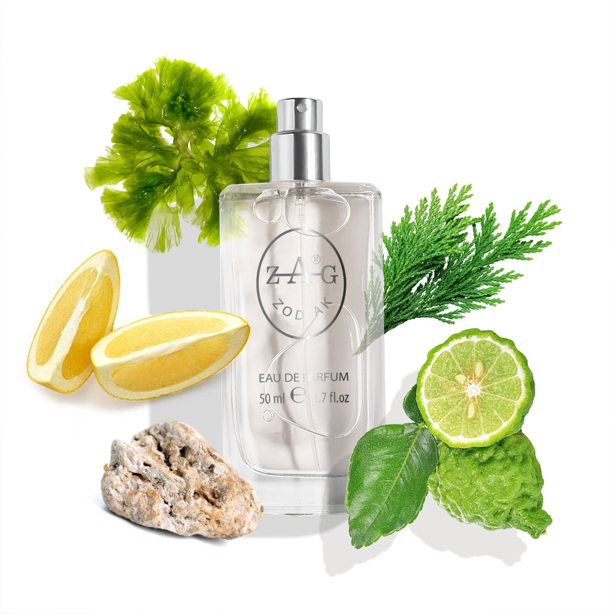 435 Unisex - Inspired by (Megamare) Orto Parisi