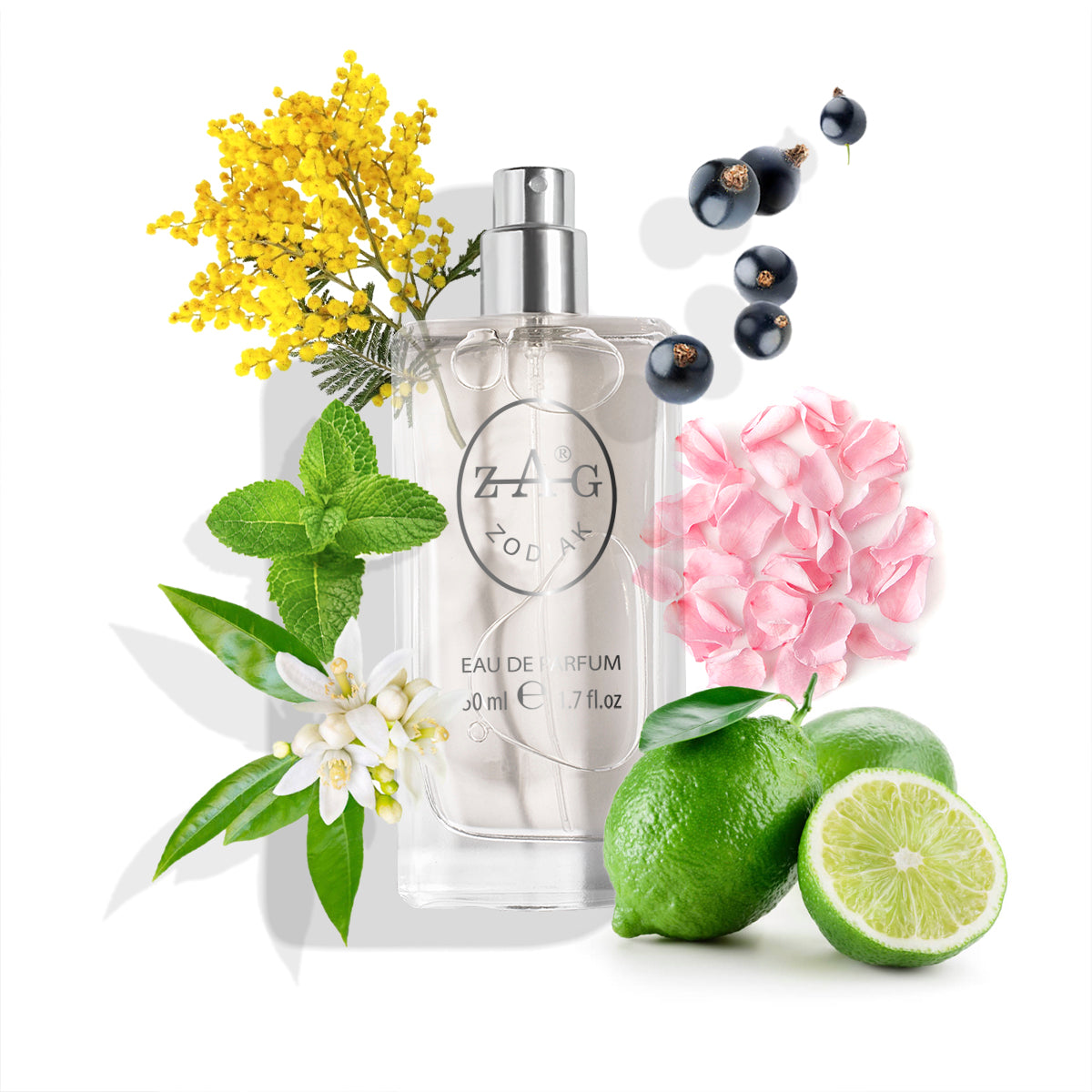 445 Unisex - Geïnspireerd door (Maison Francis Kurkdjian) Aqua Celestia