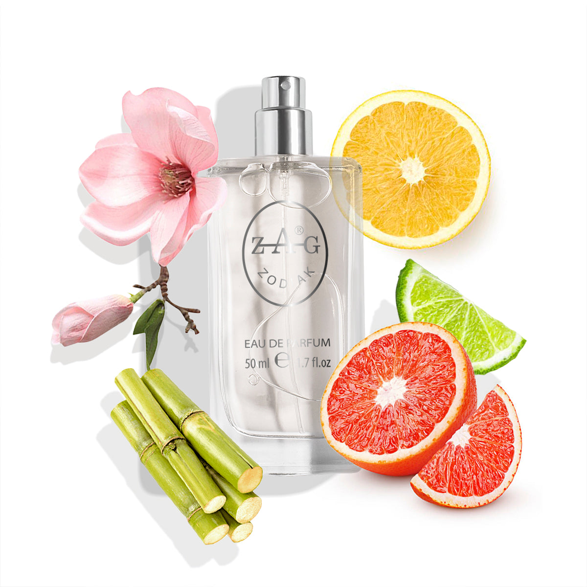 026 Dames - Geïnspireerd door (Max Mara) Max Mara