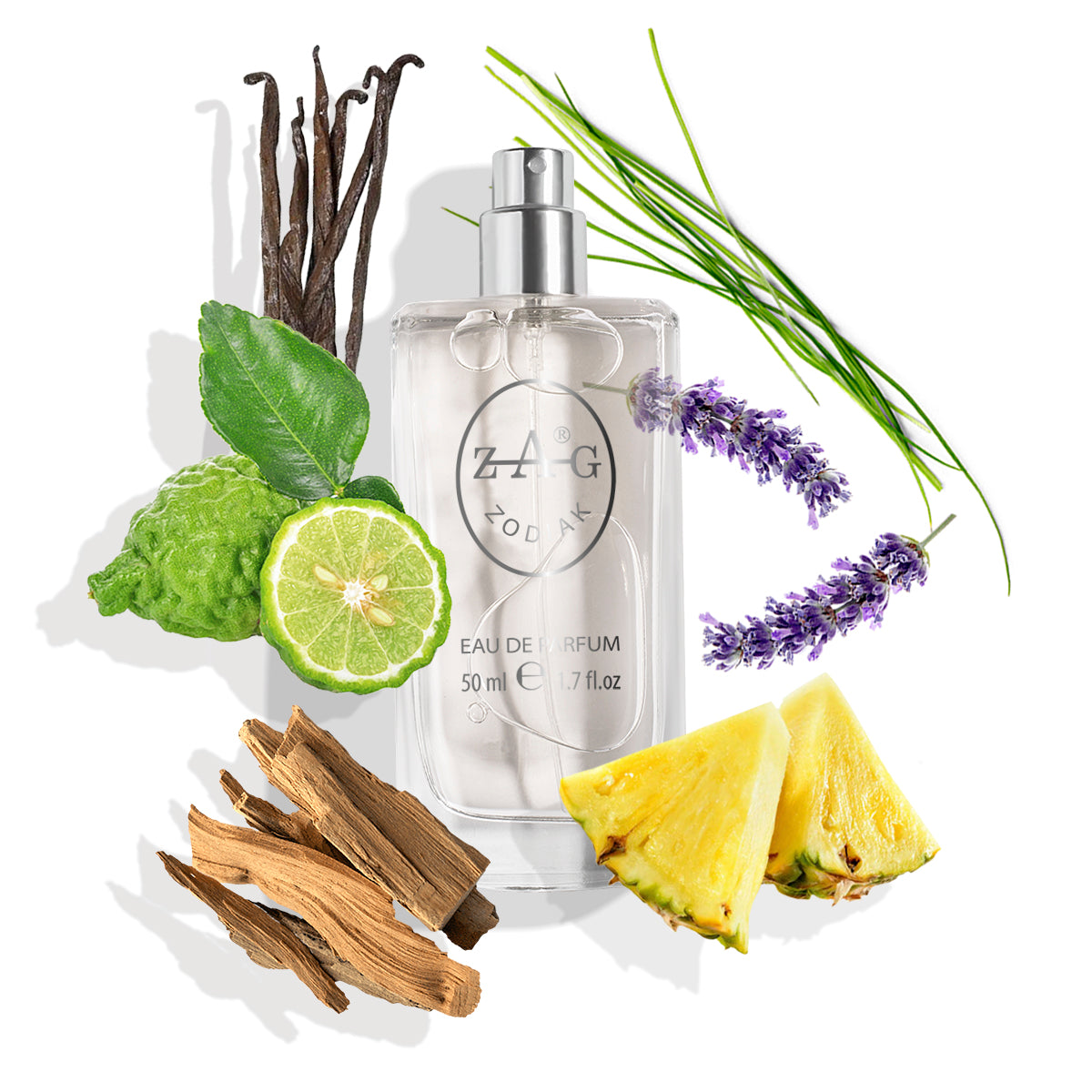 201 Heren - Geïnspireerd door (Gianfranco Ferre) Ferre for Men