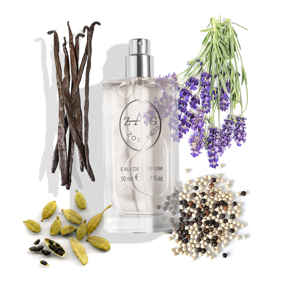 210 Heren - Geïnspireerd door (DG) The One Gentleman