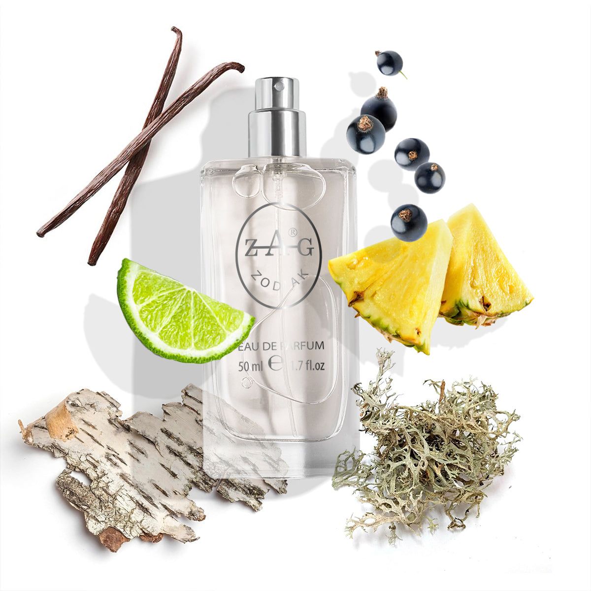 251 Heren - Geïnspireerd door (Creed) Aventus