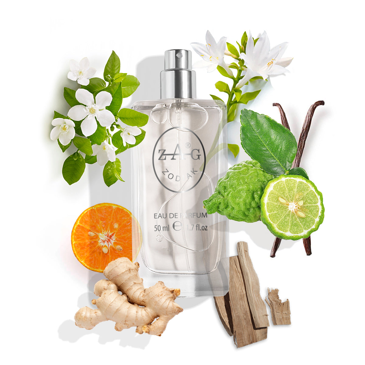 381 Dames - Geïnspireerd door (Hermes) Twilly