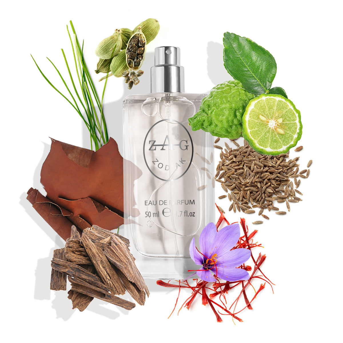 579 Unisex - Geïnspireerd door (LeMemo) African Leather