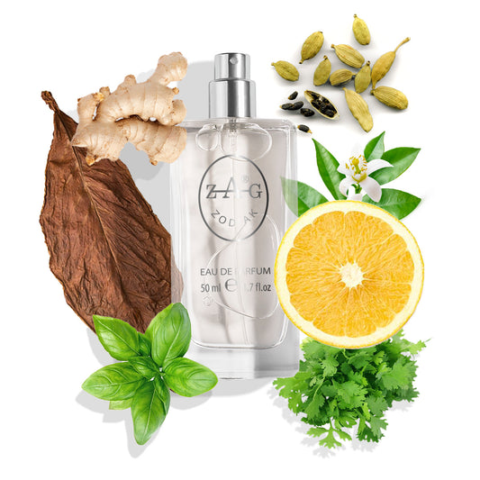 195 Heren - Soepele Kruidige Houttonen