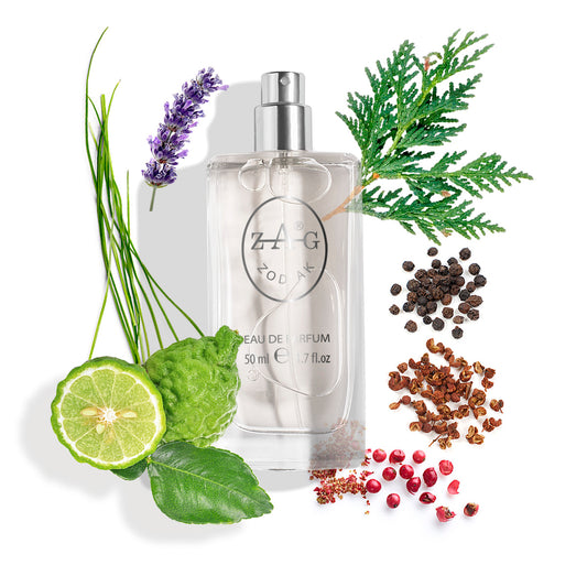 240 Heren - Frisse Aromatische Houttonen