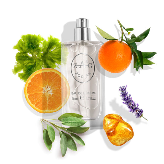 242 Heren - Frisse Aquatische Houttonen