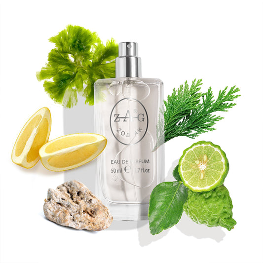 435 Unisex - Frisse Oceaan & Subtiele Houttonen