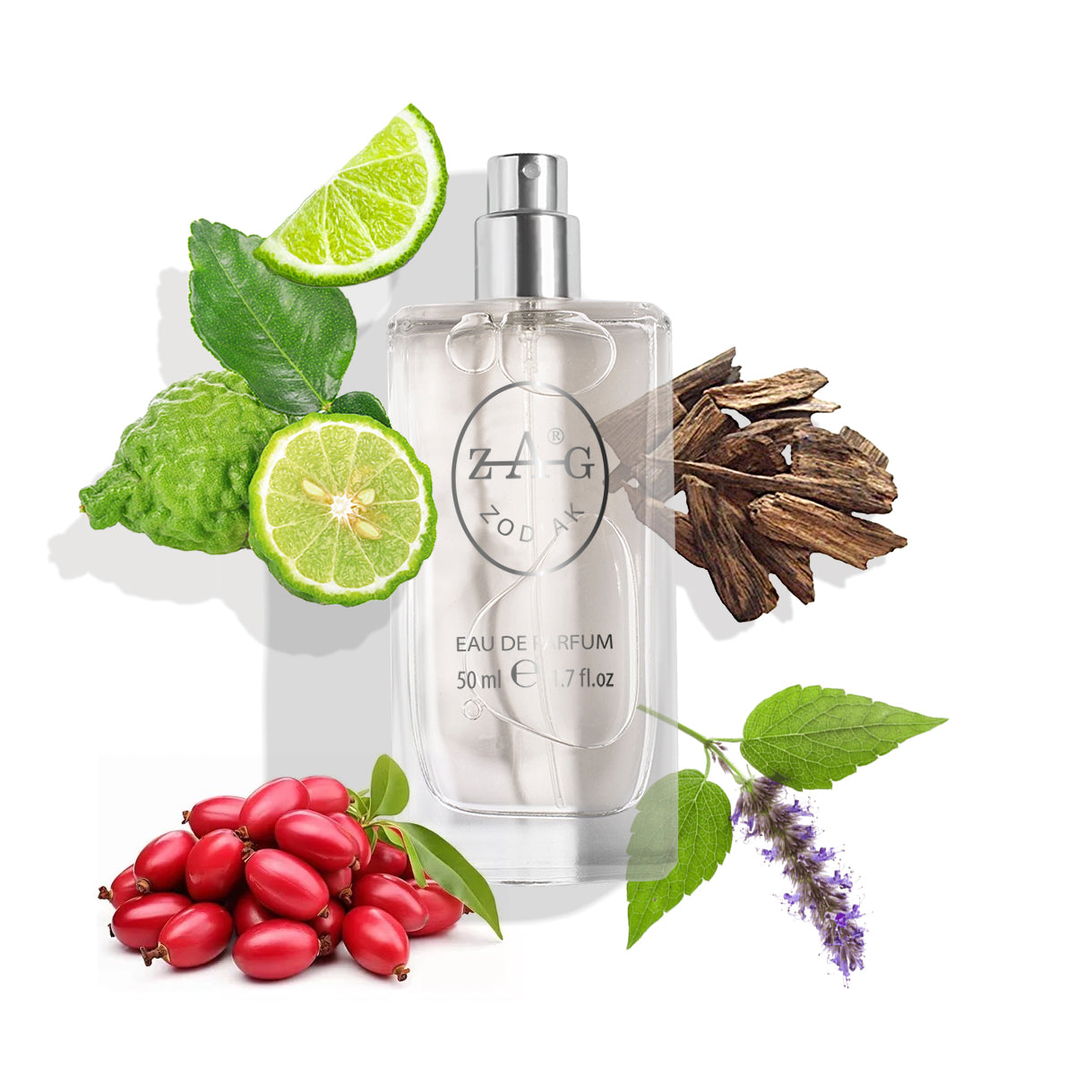 595 Dames - Geïnspireerd door (Hermes) Barénia