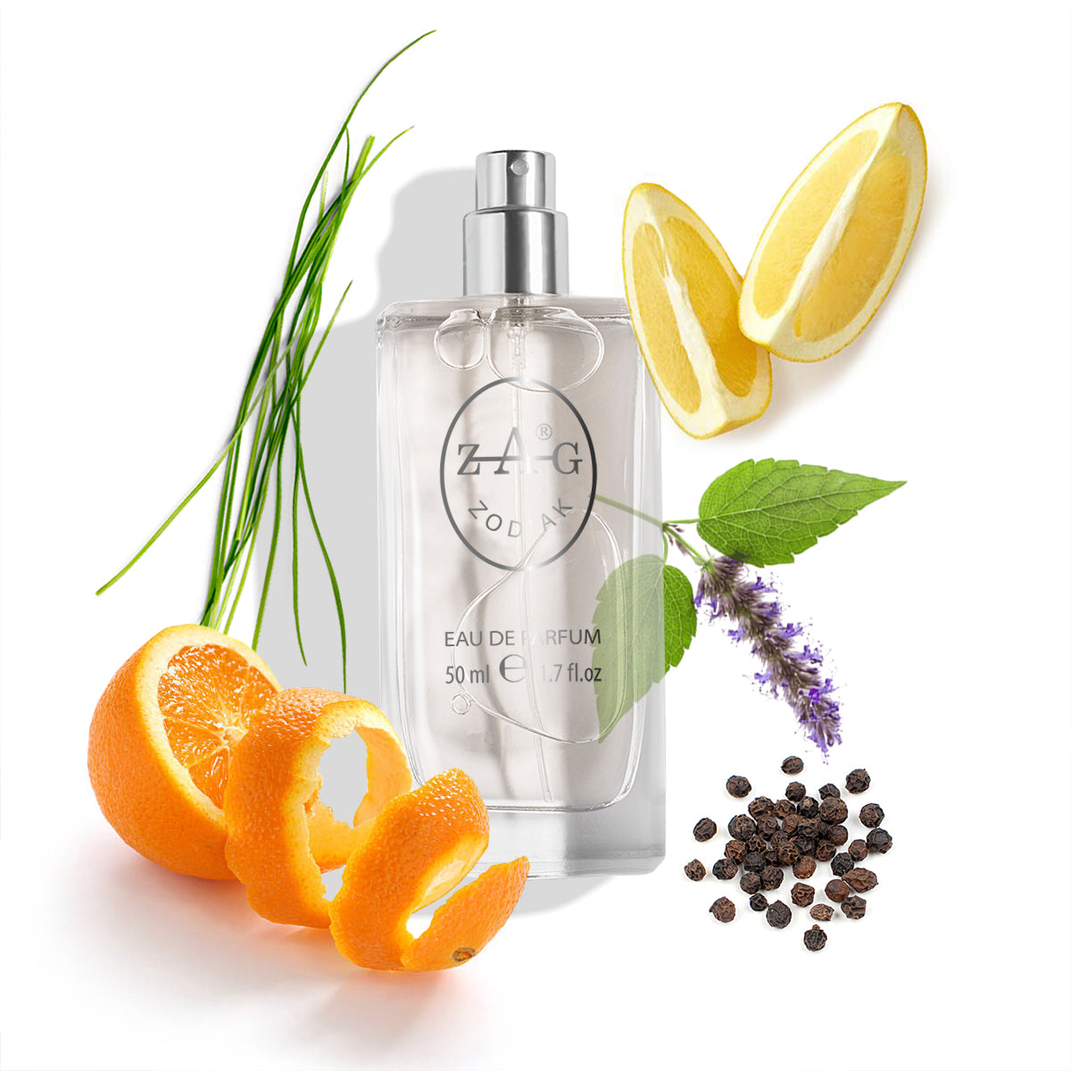 231 Heren - Houtachtige Aromatische Mannelijkheid