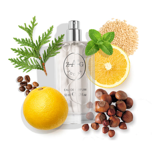 236 Heren - Magnetische Citrus & Specerijen