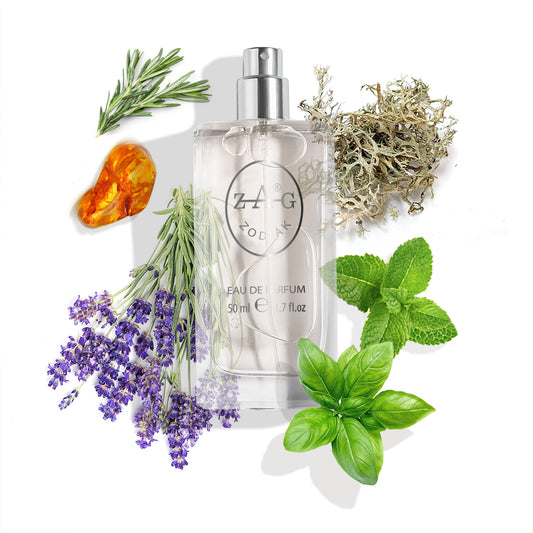 266 Heren - Aromatisch Fris-Fougere