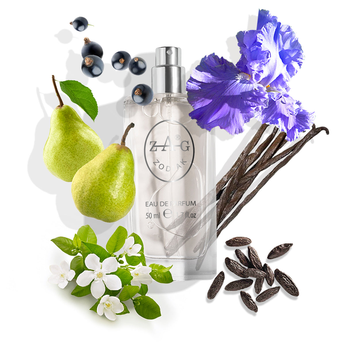 311 Women - Zoete Vrouwelijke Bloemen