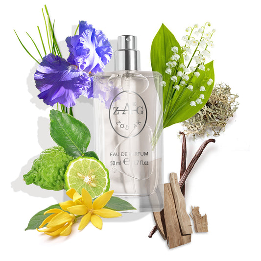 41 Women - Inspired by Chanel N5 L'Eau