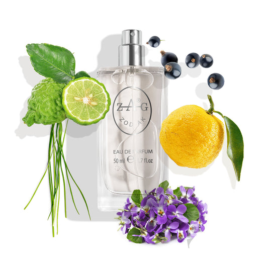 554 Unisex - Zonovergoten Citrus & Gouden Vruchten